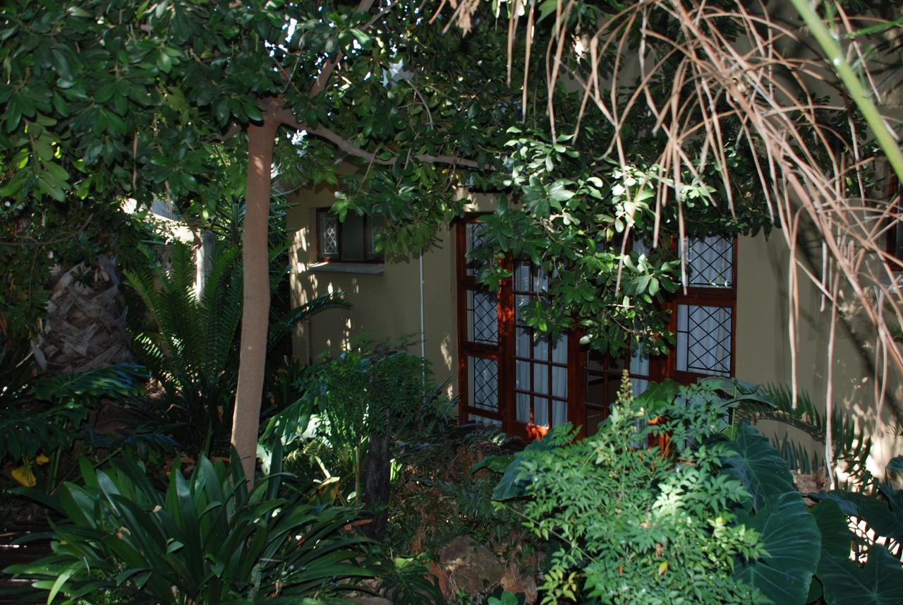86 On Langenhoven Bed & Breakfast Oudtshoorn Exteriör bild