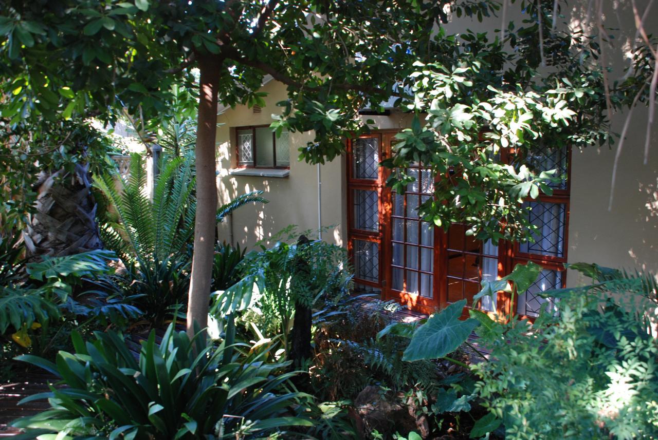 86 On Langenhoven Bed & Breakfast Oudtshoorn Exteriör bild