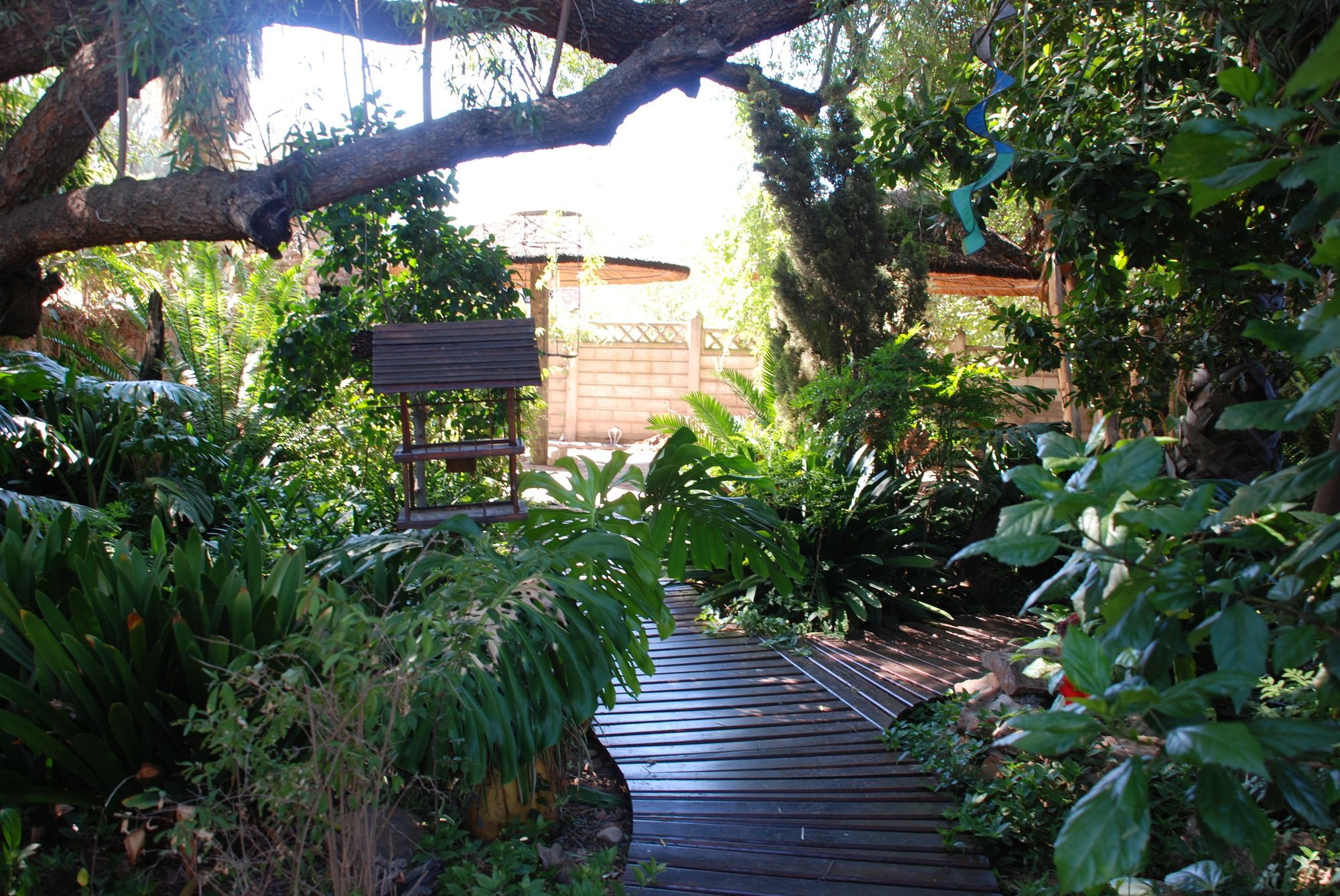 86 On Langenhoven Bed & Breakfast Oudtshoorn Exteriör bild